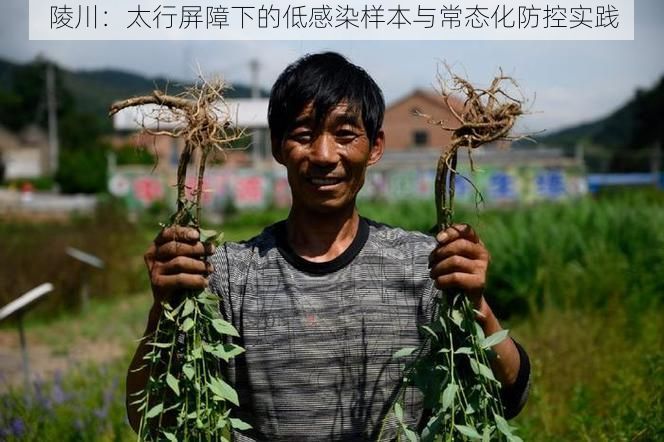 陵川：太行屏障下的低感染样本与常态化防控实践