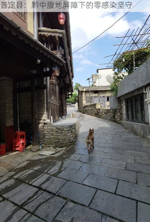 普定县：黔中腹地屏障下的零感染坚守