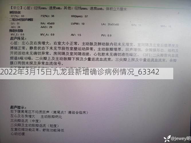 2022年3月15日九龙县新增确诊病例情况_63342