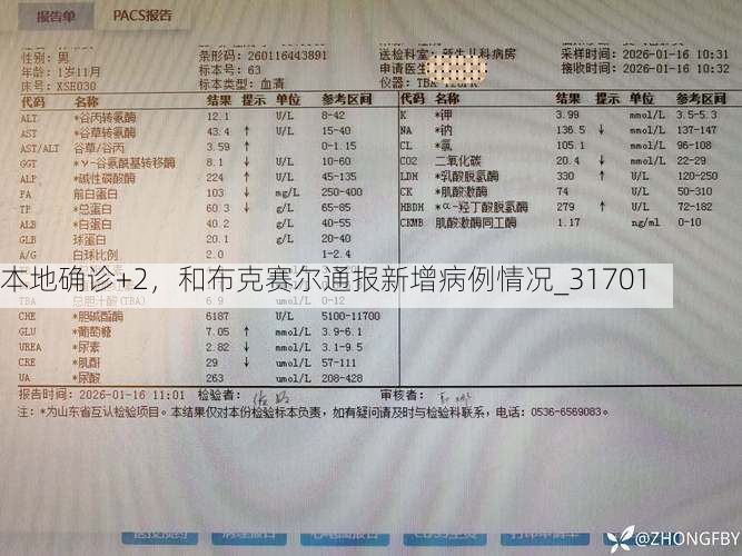 本地确诊+2，和布克赛尔通报新增病例情况_31701
