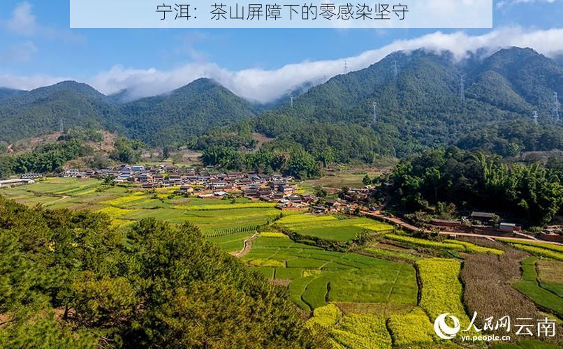 宁洱：茶山屏障下的零感染坚守