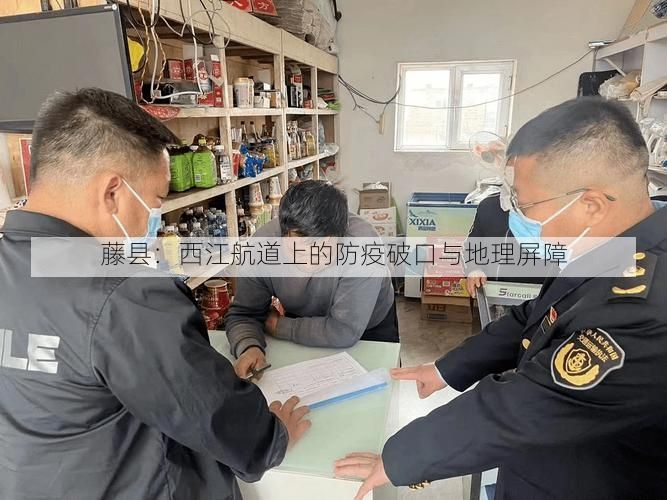 藤县：西江航道上的防疫破口与地理屏障