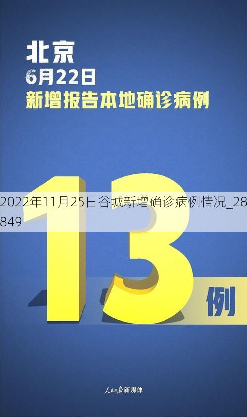 2022年11月25日谷城新增确诊病例情况_28849