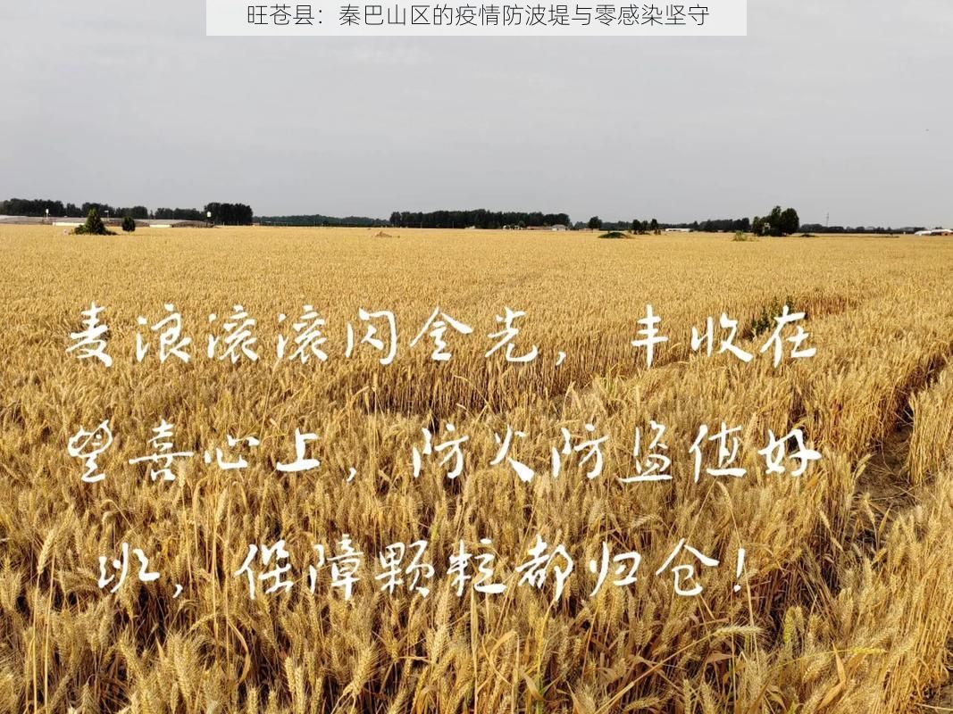 旺苍县：秦巴山区的疫情防波堤与零感染坚守