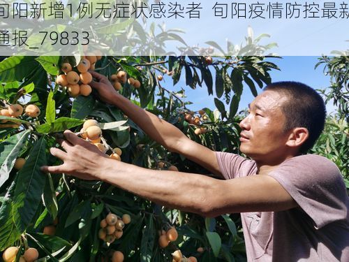 旬阳新增1例无症状感染者  旬阳疫情防控最新通报_79833