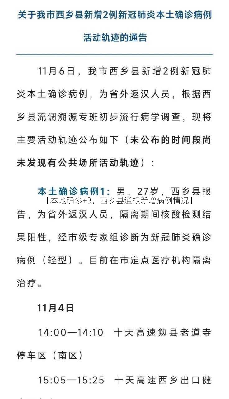 【本地确诊+3，西乡县通报新增病例情况】