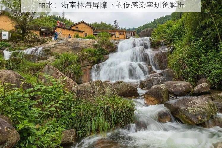 丽水：浙南林海屏障下的低感染率现象解析