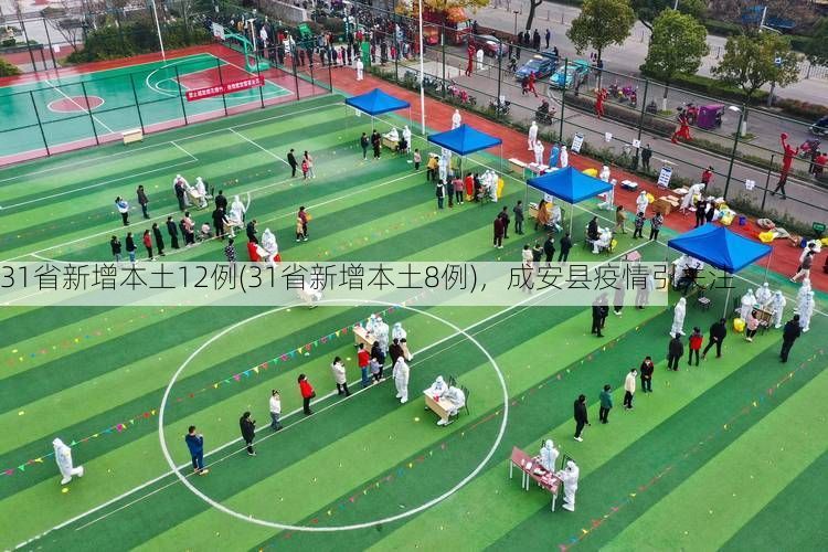 31省新增本土12例(31省新增本土8例)，成安县疫情引关注