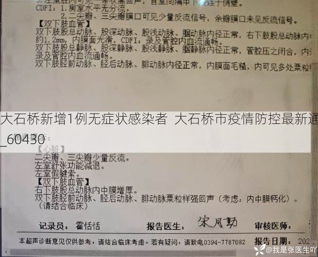 大石桥新增1例无症状感染者  大石桥市疫情防控最新通报_60430
