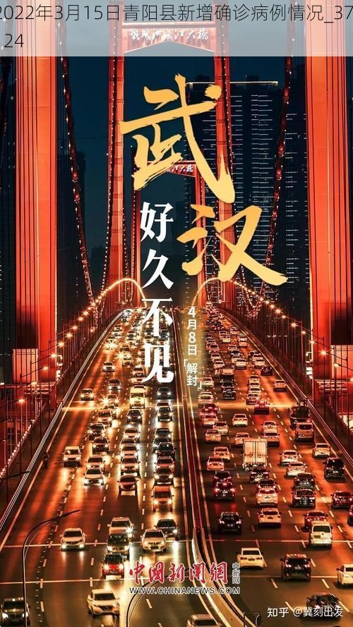 2022年3月15日青阳县新增确诊病例情况_37124