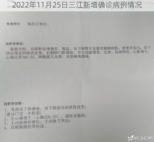2022年11月25日三江新增确诊病例情况