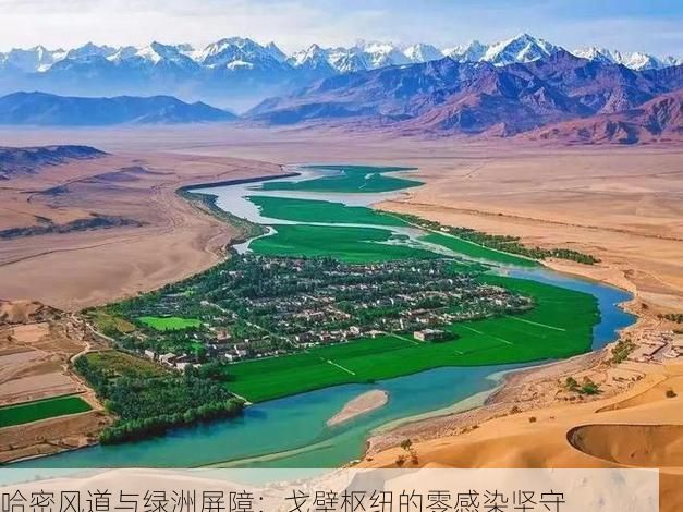 哈密风道与绿洲屏障：戈壁枢纽的零感染坚守