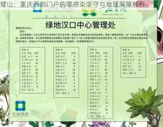 璧山：重庆西部门户的零感染坚守与地理屏障解析
