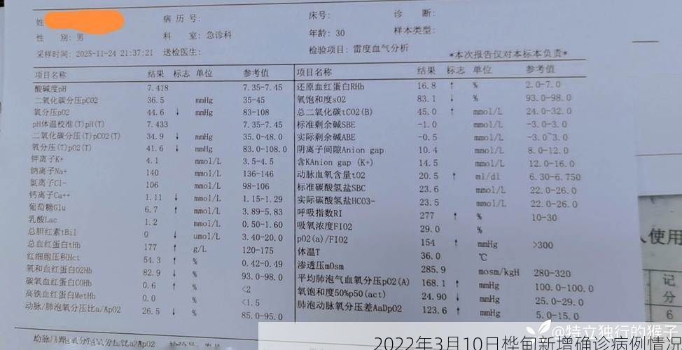 2022年3月10日桦甸新增确诊病例情况