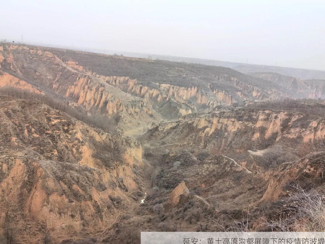 延安：黄土高原沟壑屏障下的疫情防波堤