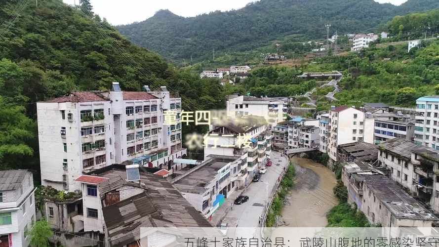 五峰土家族自治县：武陵山腹地的零感染坚守