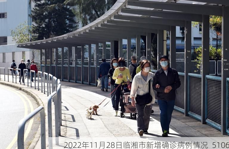 2022年11月28日临湘市新增确诊病例情况_5106