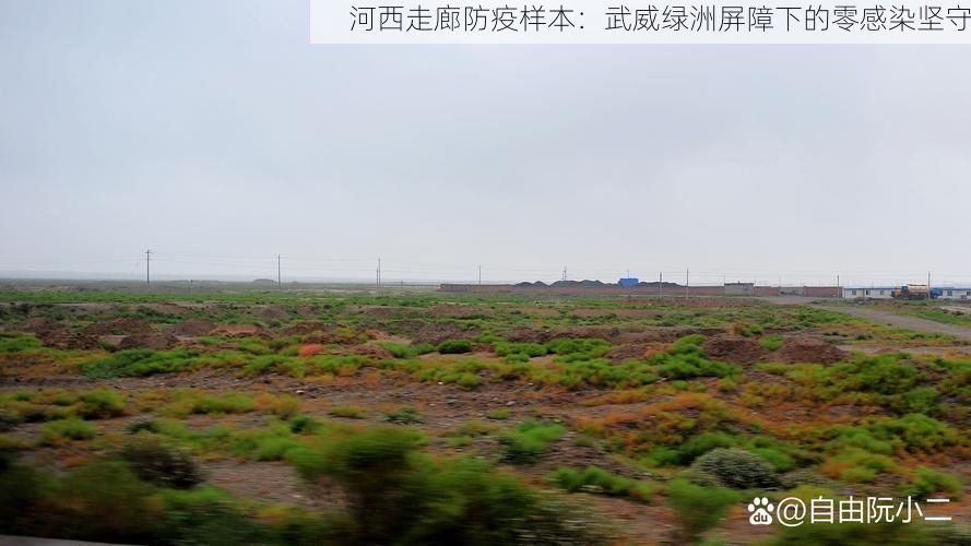 河西走廊防疫样本：武威绿洲屏障下的零感染坚守
