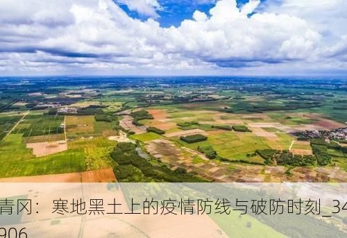 青冈：寒地黑土上的疫情防线与破防时刻_34906