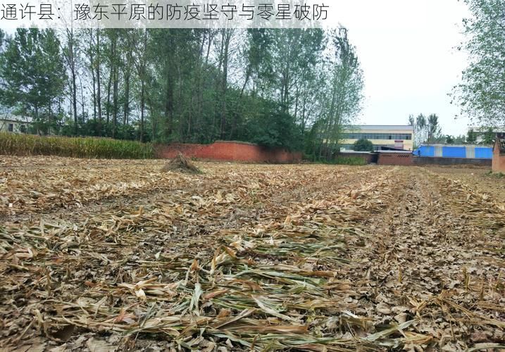 通许县：豫东平原的防疫坚守与零星破防