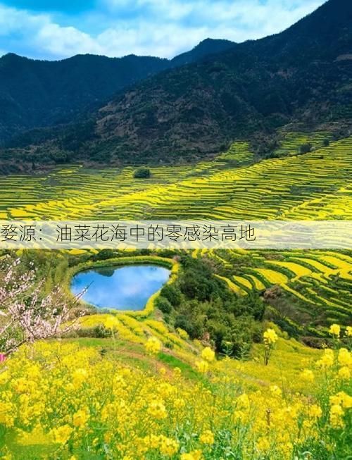 婺源：油菜花海中的零感染高地