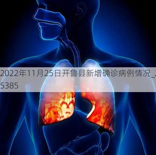 2022年11月25日开鲁县新增确诊病例情况_25385