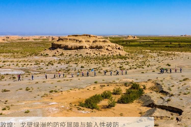 敦煌：戈壁绿洲的防疫屏障与输入性破防