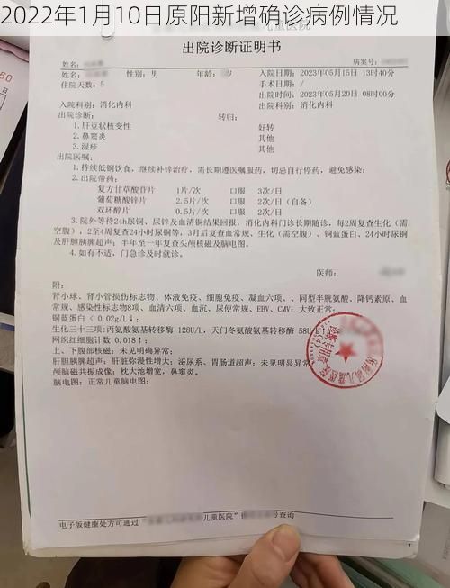 2022年1月10日原阳新增确诊病例情况
