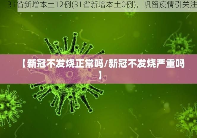 31省新增本土12例(31省新增本土0例)，巩留疫情引关注