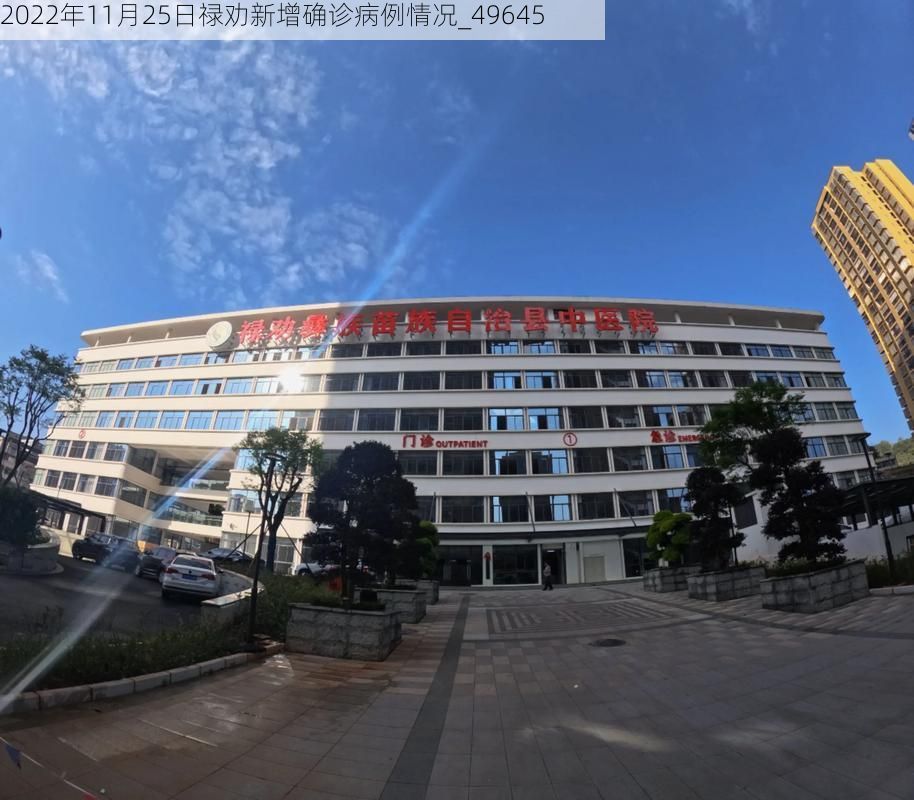 2022年11月25日禄劝新增确诊病例情况_49645