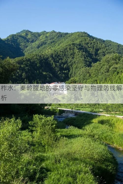 柞水：秦岭腹地的零感染坚守与物理防线解析