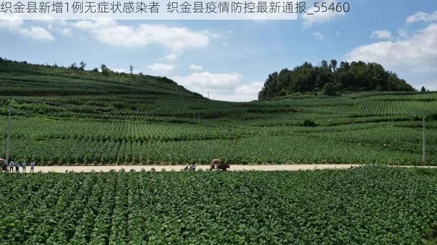 织金县新增1例无症状感染者 织金县疫情防控最新通报_55460