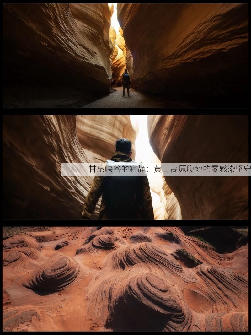 甘泉峡谷的寂静：黄土高原腹地的零感染坚守
