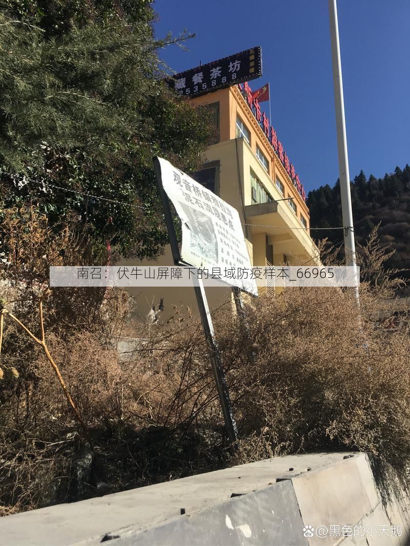 南召：伏牛山屏障下的县域防疫样本_66965