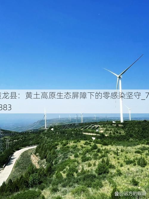 黄龙县：黄土高原生态屏障下的零感染坚守_79383