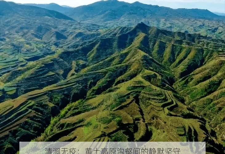 清涧无疫：黄土高原沟壑间的静默坚守