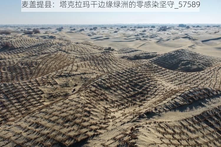 麦盖提县：塔克拉玛干边缘绿洲的零感染坚守_57589
