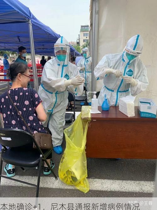 本地确诊+1，尼木县通报新增病例情况