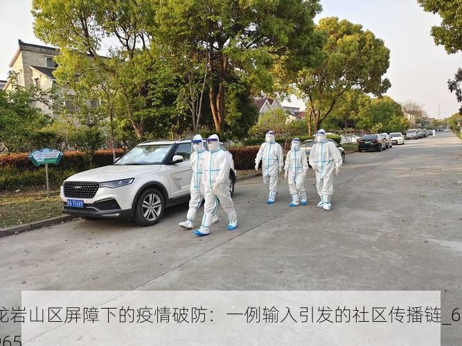 龙岩山区屏障下的疫情破防:一例输入引发的社区传播链_69965