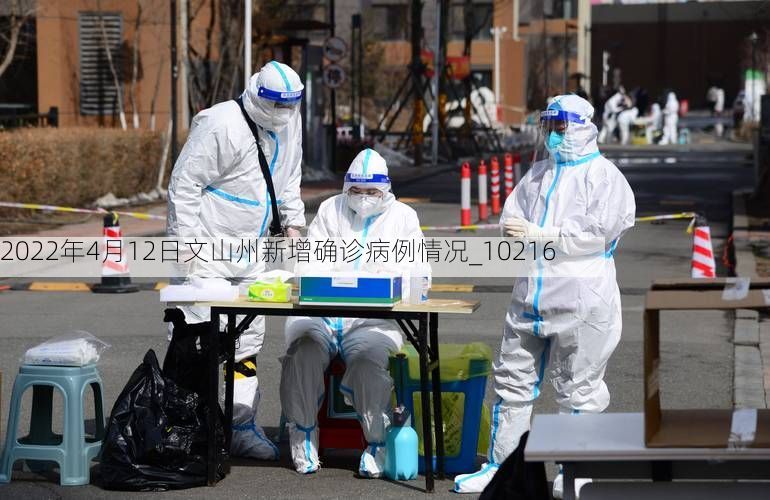 2022年4月12日文山州新增确诊病例情况_10216