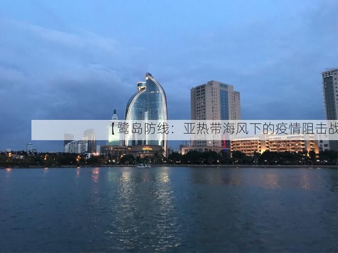 【鹭岛防线：亚热带海风下的疫情阻击战】