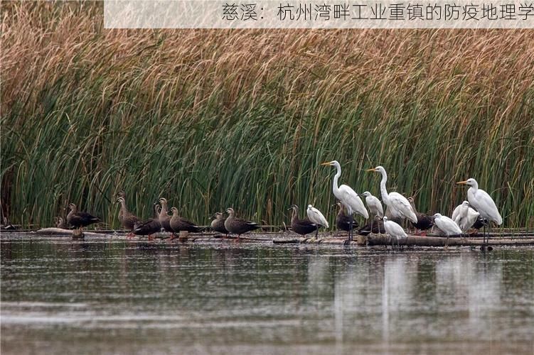 慈溪：杭州湾畔工业重镇的防疫地理学