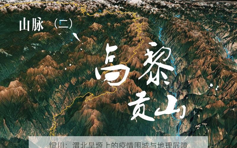 铜川：渭北旱塬上的疫情围城与地理屏障