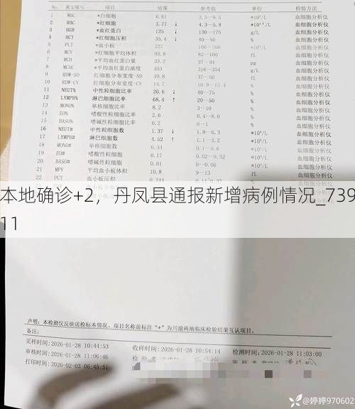 本地确诊+2,丹凤县通报新增病例情况_73911