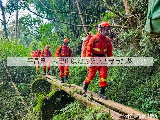 平昌县：大巴山腹地的防疫坚守与挑战