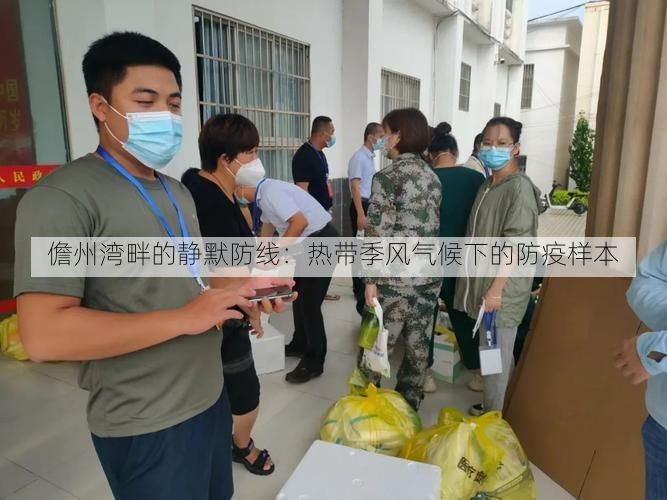 儋州湾畔的静默防线：热带季风气候下的防疫样本