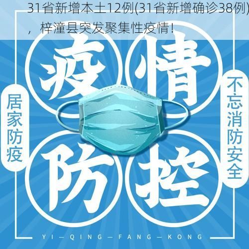 31省新增本土12例(31省新增确诊38例)，梓潼县突发聚集性疫情！