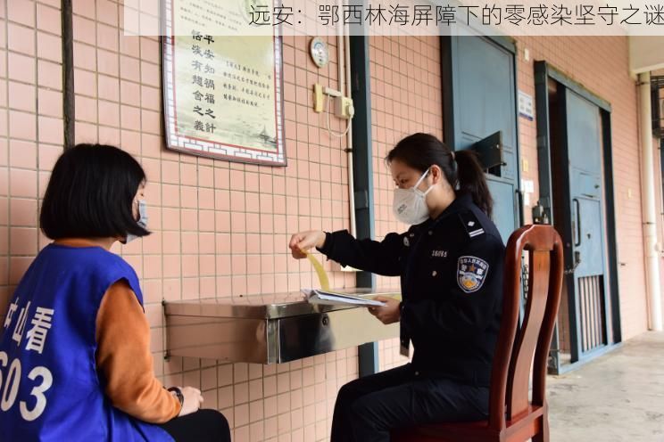 远安：鄂西林海屏障下的零感染坚守之谜