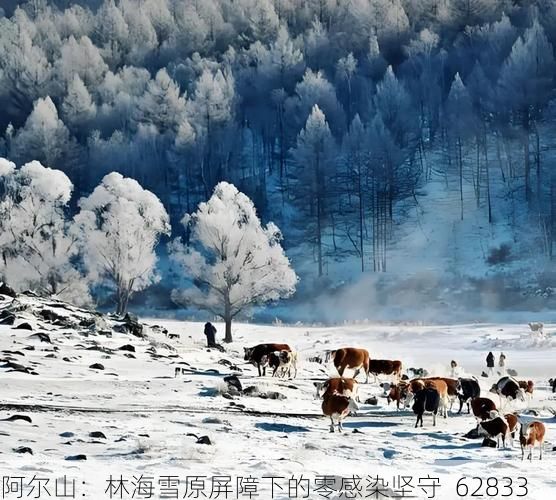 阿尔山：林海雪原屏障下的零感染坚守_62833