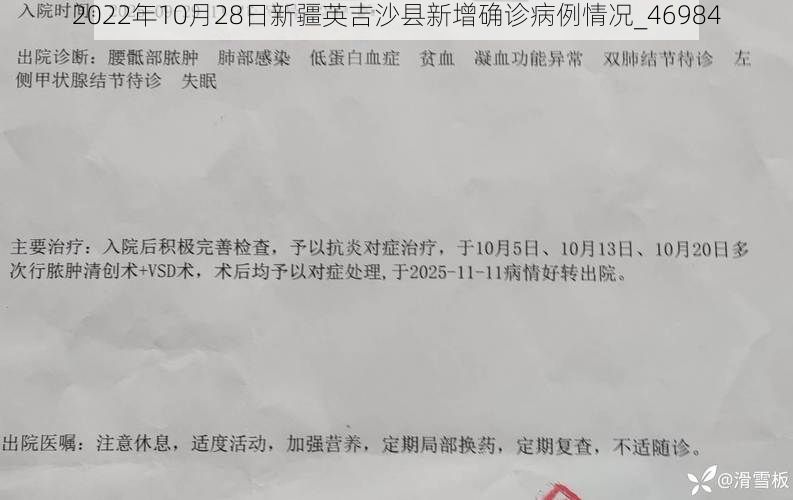 2022年10月28日新疆英吉沙县新增确诊病例情况_46984